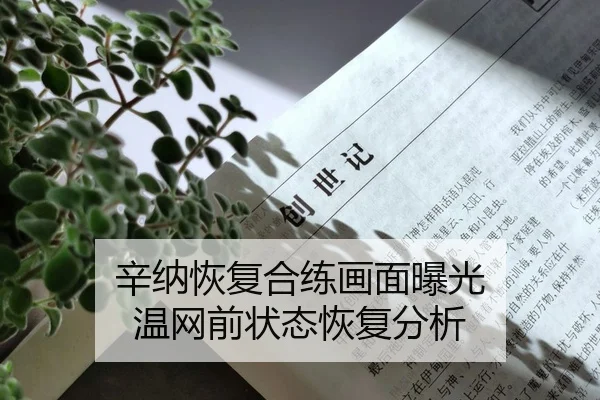 xin-na-hui-fu-he-lian-hua-mian-bao-guang-wen-wang-qian-zhuang-tai-hui-fu-fen-xi-2-580.jpg