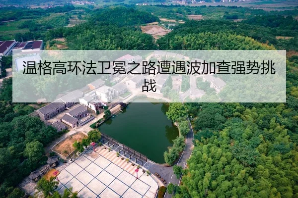 温格高环法卫冕之路遭遇波加查强势挑战