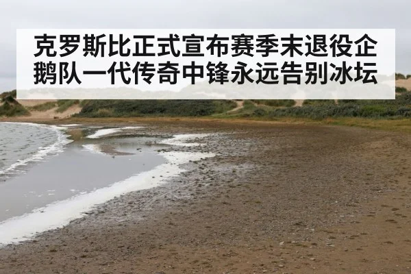 克罗斯比正式宣布赛季末退役企鹅队一代传奇中锋永远告别冰坛