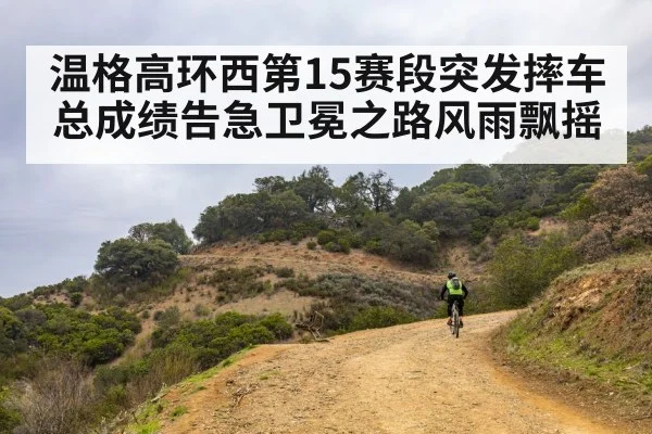 温格高环西第15赛段突发摔车总成绩告急卫冕之路风雨飘摇